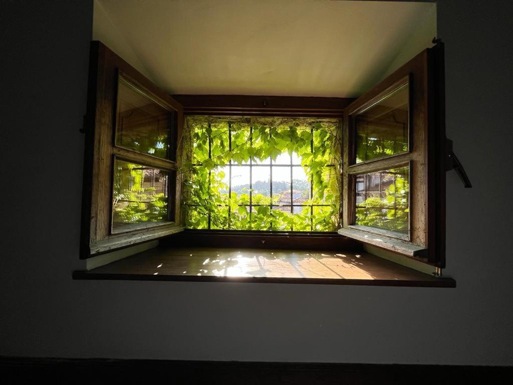 Apartamento Gaudi 柯米拉斯 外观 照片